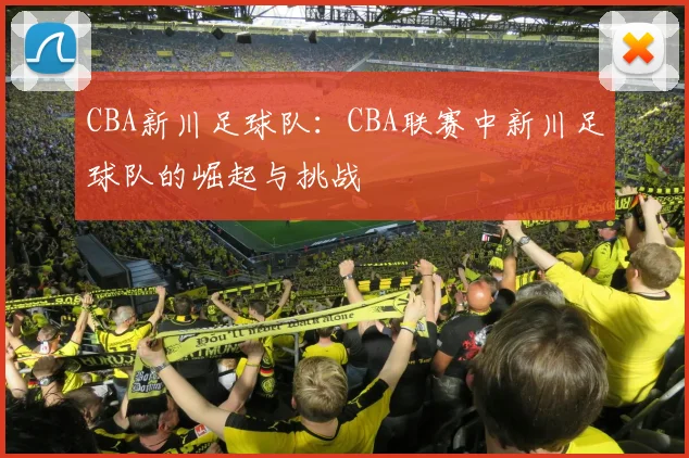 CBA新川足球队：CBA联赛中新川足球队的崛起与挑战